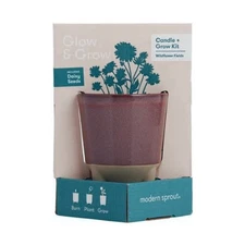 Glow and Grow Modern Sprout Ceramic Wildflower Scented Candle Kit, Daisy Seeds
