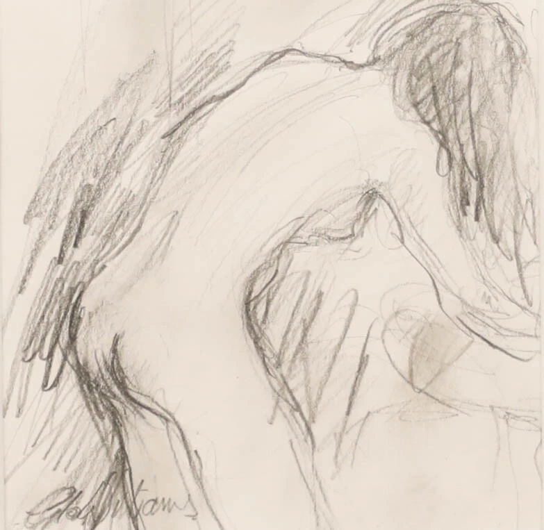 Glo Williams (n.1940) - Dibujo de grafito contemporáneo enmarcado, lavado rápido Foto 2 de 4