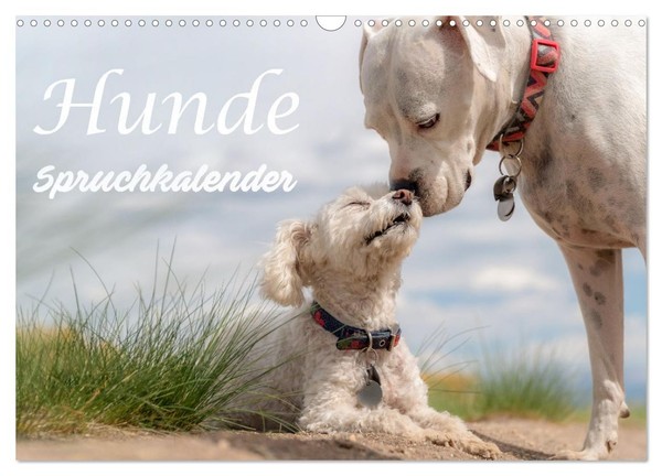 "Calendar 2027 · US Version · Dogs Saying Calendar (Wall Calendar 2027 17\" × 12\""-image