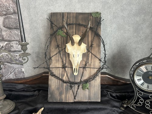 Gams Schädel Gothic Wanddeko Pentagramm Schwarz Stacheldraht Kuriosität Unikat - Bild 6 von 6