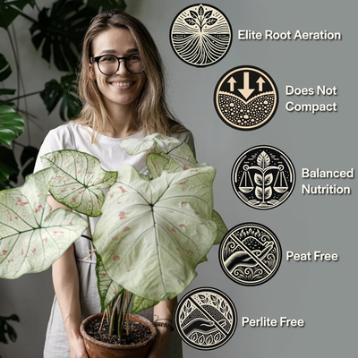 Craft Aroid Potting Mix- Elite Organic Alocasia, Philodendron, Monstera Soil  Mix 313100237239| eBay