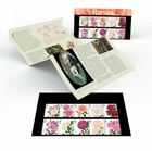 GB 2026 ROSES PRESENTATION PACK No.679 *SPECIAL PRICE*
