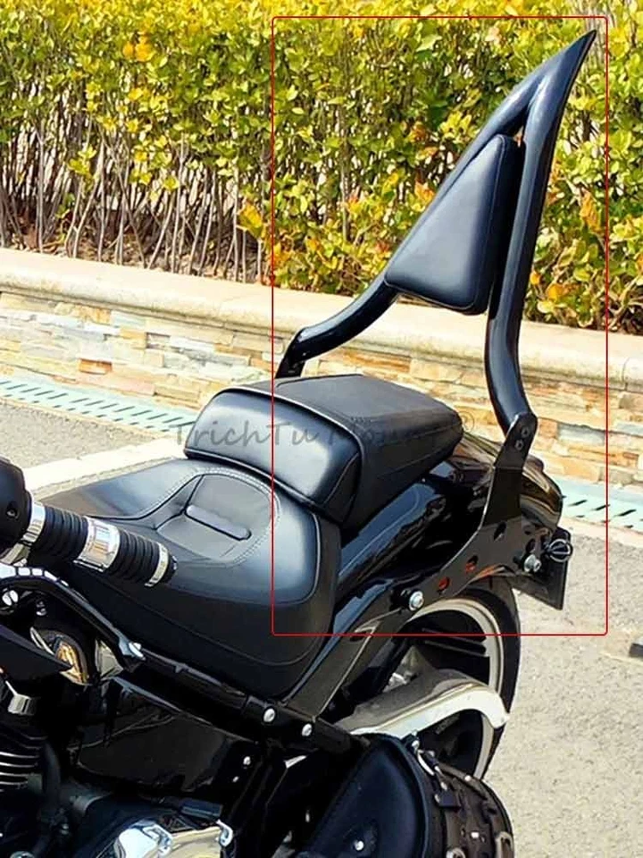 Rear Passenger Backrest Sissy Bar For Harley Softail Breakout FXBRS 114 2018-21 Foto 3 de 4