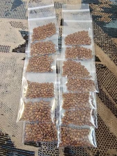 50 Eastern Redbud Tree Seeds Plus 20 FREE Seeds. READ DESCRIPTION.