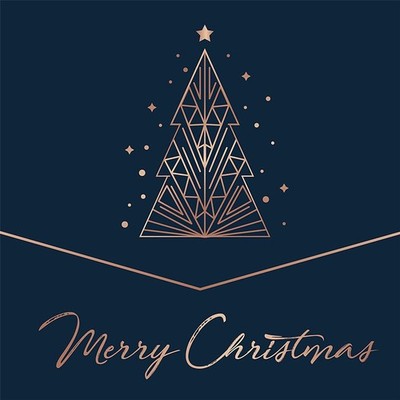 Various Artists Merry Christmas 2LP Vinyl 2018 XMAS0055-1