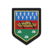 ECUSSON BRODE REGION GUYANE COULEUR  PATCH SUR SCRATCH NEUF
