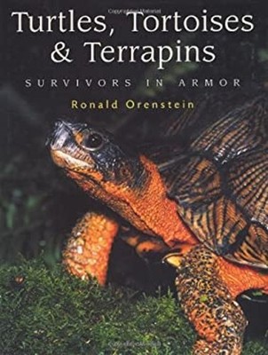 Turtles, Tortoises and Terrapins : Survivors in Armor Hardcover