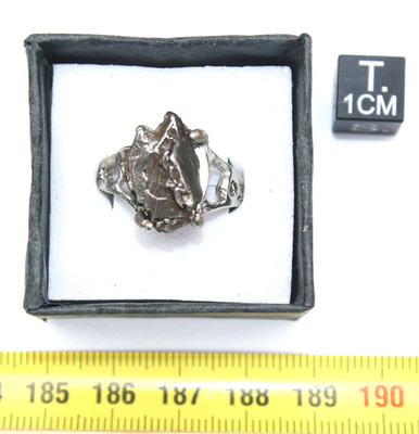 Meteoritenring Campo Del Cielo Typ Kristall (Größe Ca. 19 - 001**)