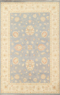 Vegetable Dye Peshawar Chobi Handmade Area Rug 6x8 Light Blue/ Ivory Wool Carpet
