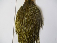 Premium cock cape neck light olive grizzle genetic hackle feathers fly tying