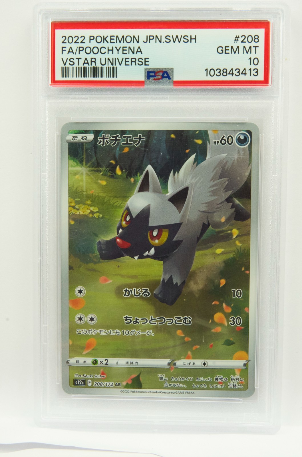 Poochyena 208/172 PSA 10 VSTAR Universe s12a JP Graded Pokemon Card Slab
