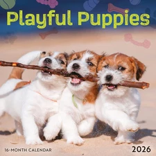 Carousel Calendars,  Playful Puppies 2026 Mini Wall Calendar, 12'' X 7'', 16-Mon