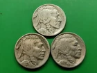 Special Order For A Customer. 3 Buffalo Nickels.