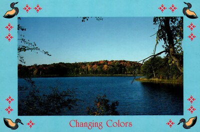 Changing Colors As Autumn Approaches Postcard