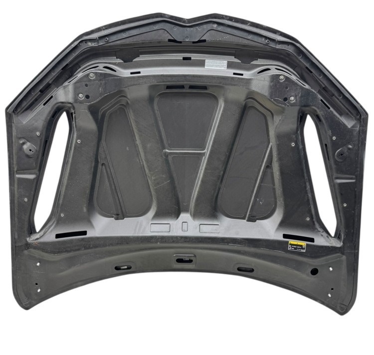 2023 2024 LAMBORGHINI URUS PERFORMANTE CARBON FIBER HOOD 4ML823029A OEM