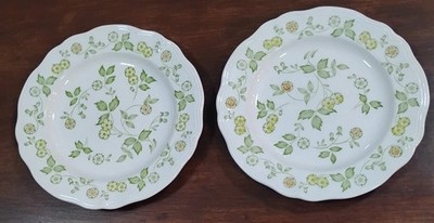 2 Petite Flora Ironstone (4009 3-6) 10  Plate. Made In Japan.