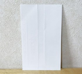 Sega Saturn Madou Monogatari Obi Spine Card