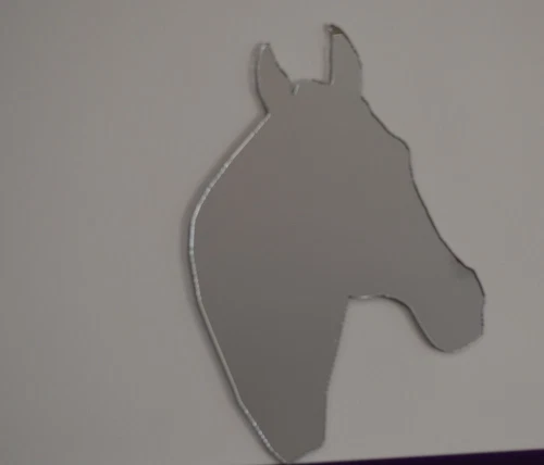 Horse Head Equestrian Novelty Mirror Acrylic Perspex Ideal Gift Girls Bedroom
