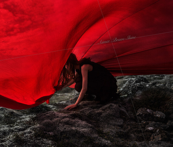AIMER Brave Shine JAPAN CD DFCL 2129 2015 NEW s15226 | eBay