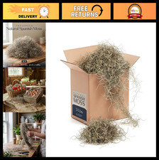 Dried Spanish Moss for Indoor Plants - 3 LB Natural Decorative Filler