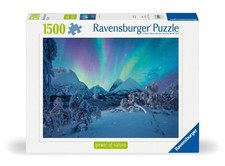 Erwachsenenpuzzle Power of Nature 1500 Teile - Wenn die Nordlichter tanzen