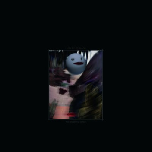 Ian Drennan The Wonderful World (Vinyl LP) 12" Album