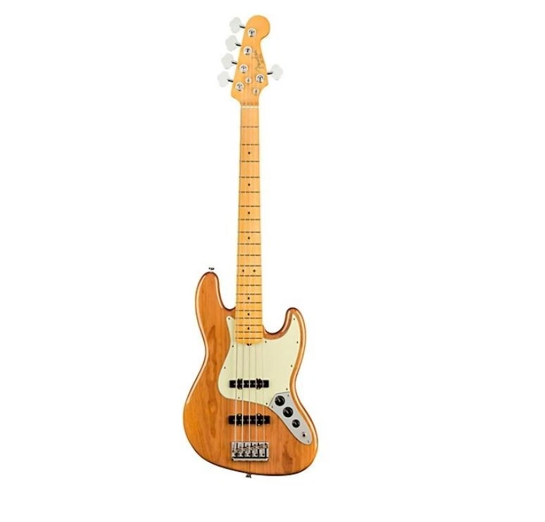 Fender elite online molded case