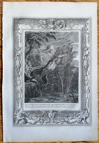 Picart Mythologie Kupferstich Folio Pan und Syrinx - 1732 - Bild 1 von 2