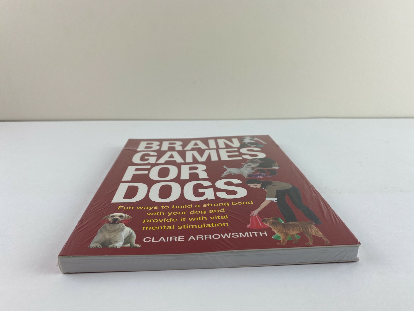 Brain Games for Dogs Fun Ways to Build a Strong Bond with Your Dog and Provide It with Vital