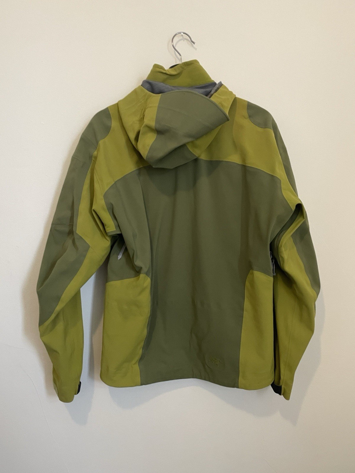 ARC'TERYX Arc’teryx 2006 Stingray AR Gore tex Giacca da Sci Uomo Small Verde