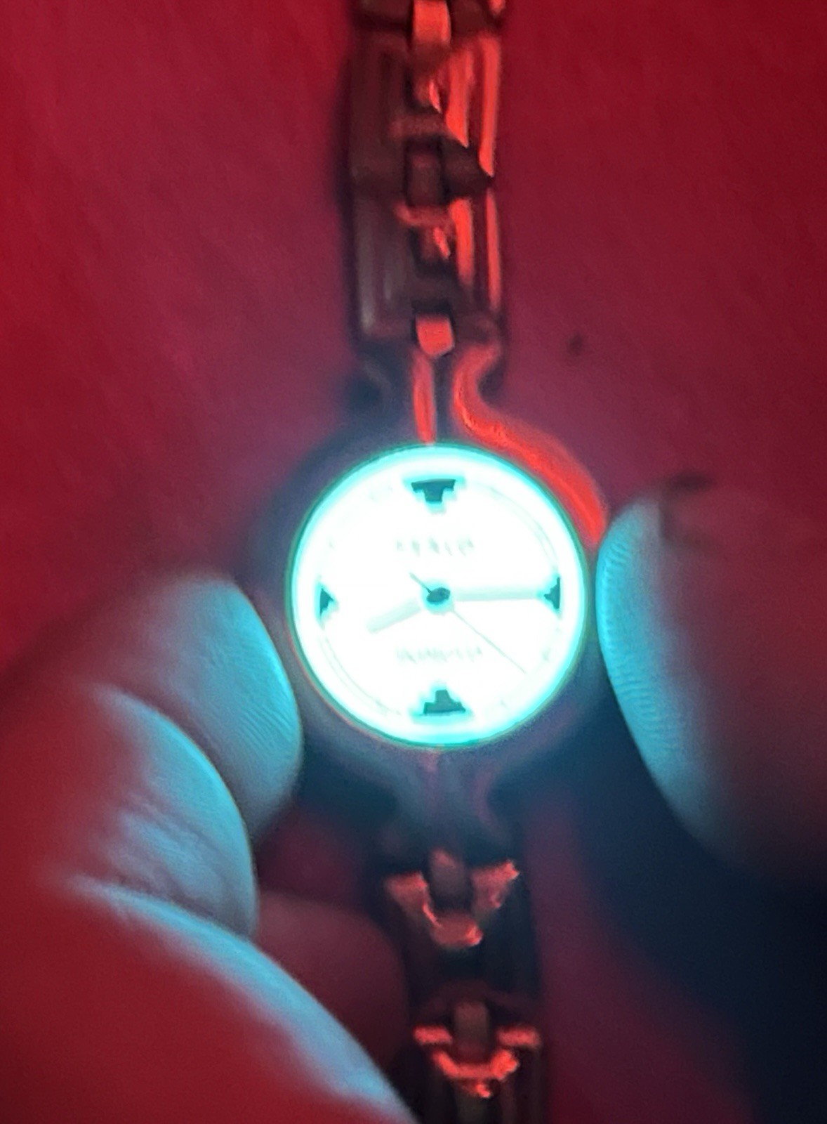 Philippines Watch Foundation For Exploration and … - image 12