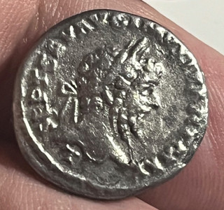 Cincin19 Denario de SEPTIMIO SEVERO pesa 2 90gr "T" debajo el Busto