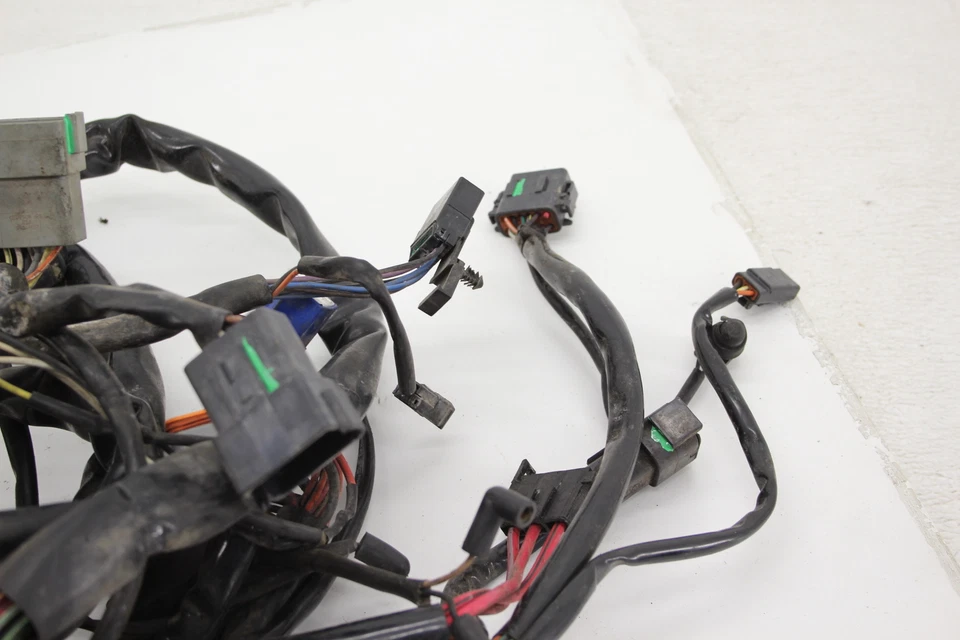 Arnés de cableado del motor principal Harley-Davidson Road King Flhri 2003 03 Foto 2 de 4