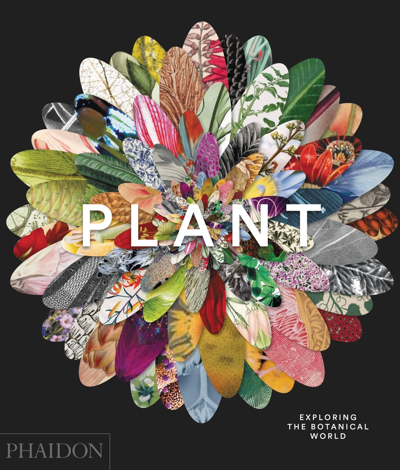 Thumbnail - Plant: Exploring The Botanical World, Phaidon Editors