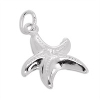 925 Sterlingsilber Seestern Charm AnhäNger