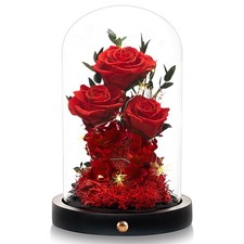 Valentines Day Flowers Roses Gifts for Her,Forever Real Preserved Roses in Gl...