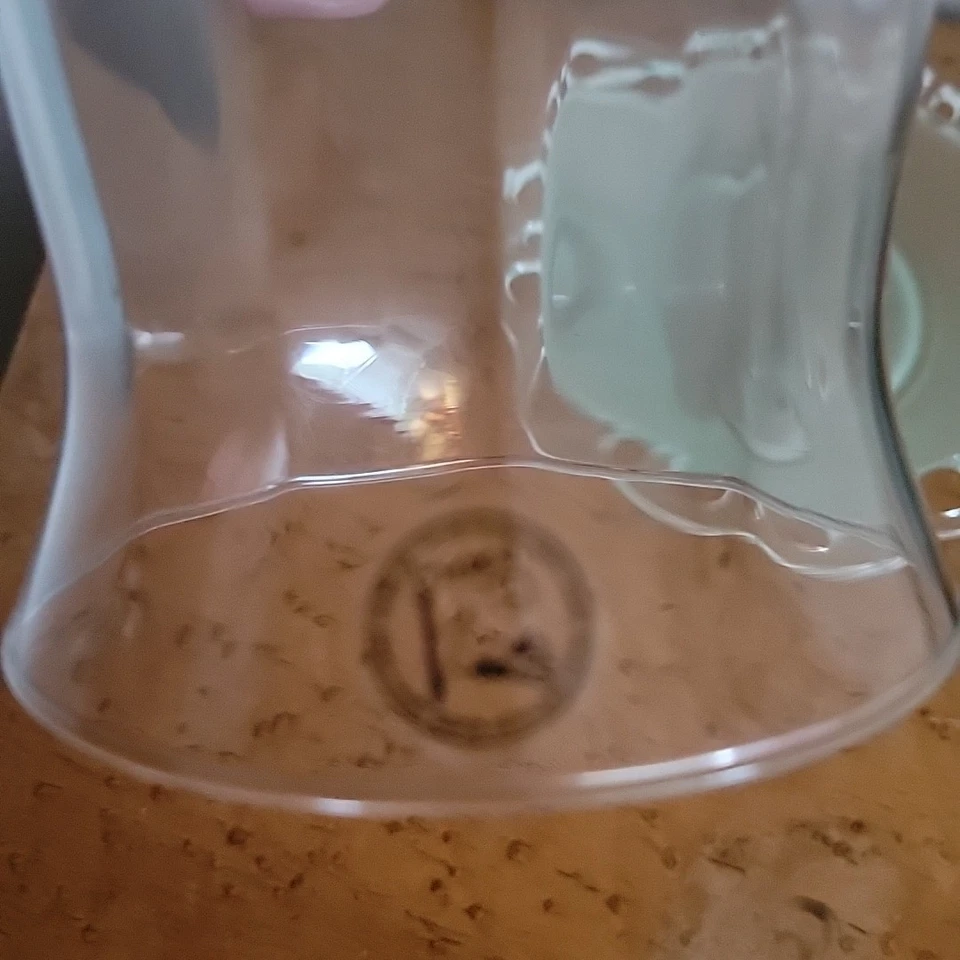 Prato de servir Amici Bell cúpula vidro coberto manteiga de queijo verde claro 7" A X 8" D - Imagem 4 de 4