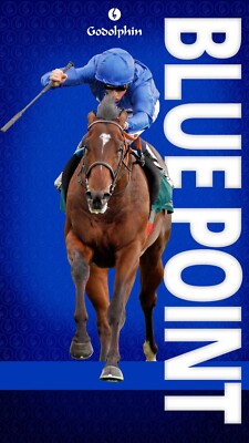 Horse racing photo, stallions,thoroughbreds ascot, breeders cup,farms, cup