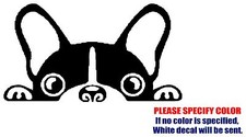 Boston Terrier JDM Funny Vinyl Decal Sticker Car Window Bumper Wall laptop 7"