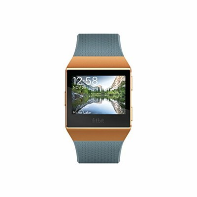 fitbit ionic slate
