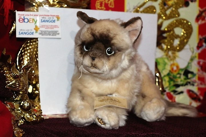 Webkinz signature best sale ragdoll cat