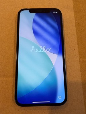 Apple iPhone 12 Pro 128GB Pacific Blue Unlocked - Great Condition