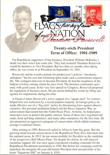 Dr Jim Stamps Maximum Card New York State Flag 44C Theodore Roosevelt Combo Fdc