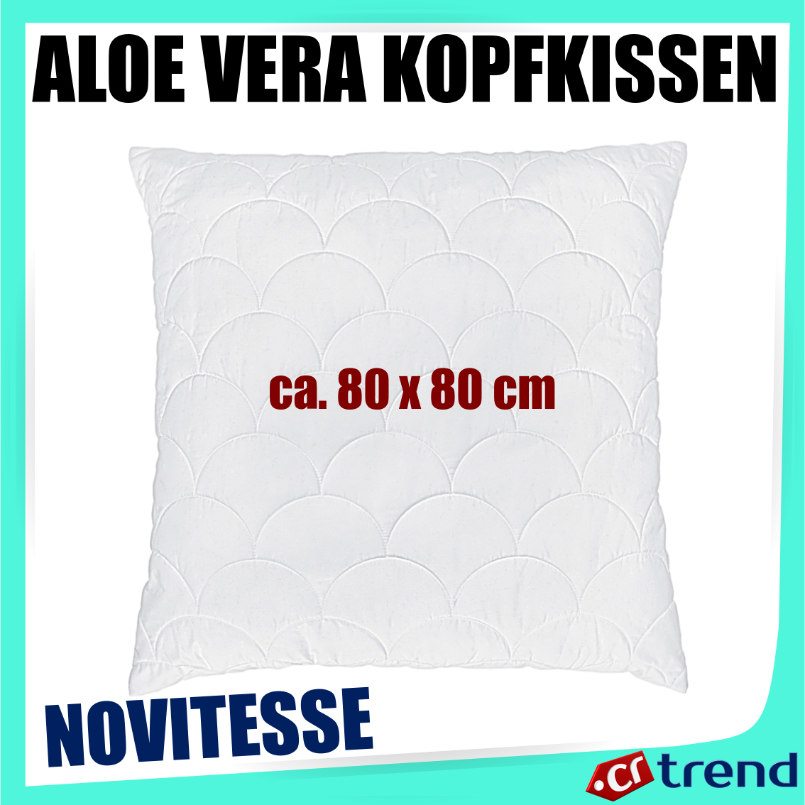 aloe vera barbadensis kaufen Aloe Vera Barbadensis main image 1
