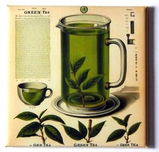 Green Tea FRIDGE MAGNET "style B"