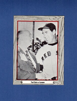 #16 TY COBB & Ted Williams ~ Baseball's Greatest Player | John McCallum/Praeger