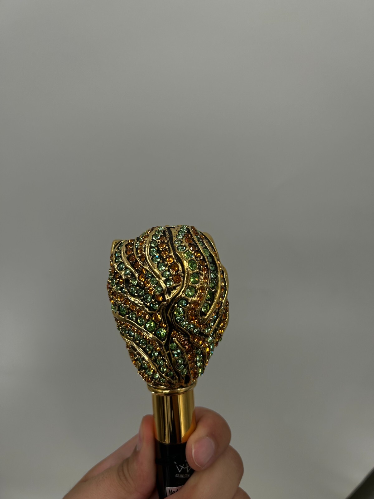 Picture 6 of 6