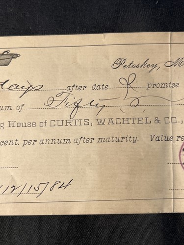 I.O.U. a cheque de colección 1894 a Banking House of Curtis Wachtel & Co Petoskey Michigan - Imagen 3 de 7