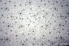 GLITTERY SNOWFLAKES IN GOLD ON WHITE - 100 COTTON FABRIC
