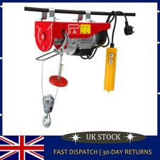 Electric Winch Scaffold Hoist For Workshop 550W Remote control For Garage 250kg